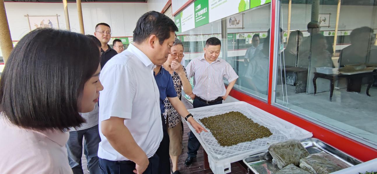 省尊龙凯时集团党委副书记、董事陈日赴嘉陵区调研茶桑产业发展情况